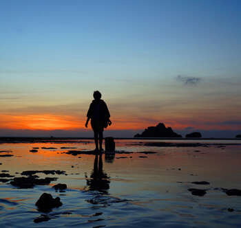 The Most Important Choice in My Life: Should I stay, or Should I go?