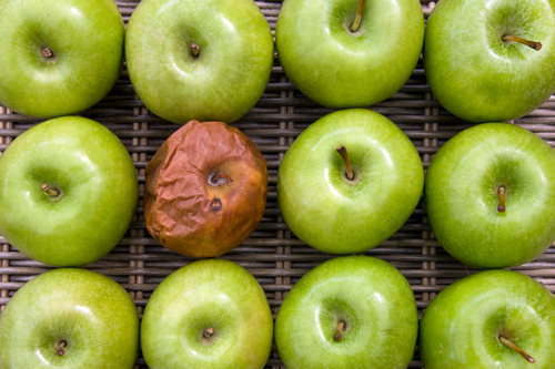 Are Narcissists All Bad? What is The Cycle of Abuse?